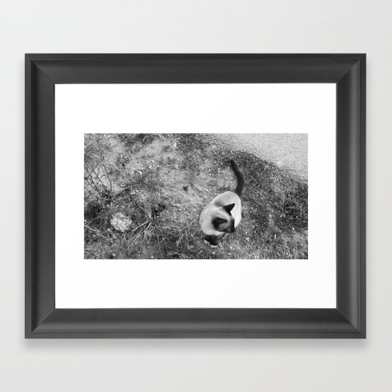 The Cat Framed Art Print