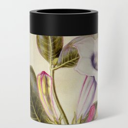  Sacred datura and blue butterfly Can Cooler