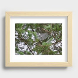 From the Storm Recessed Framed Print