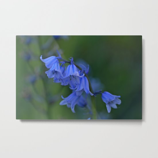 Spanish Bluebells Metal Print