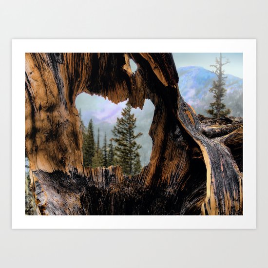 Look Into The Heart Art Print