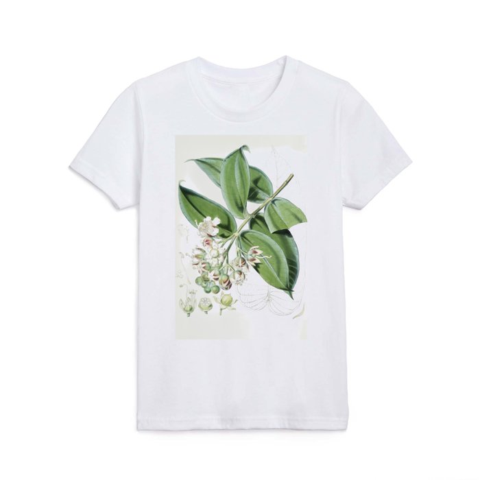 Duabanga Sonneratioides Vintage Plant Illustration Kids T Shirt