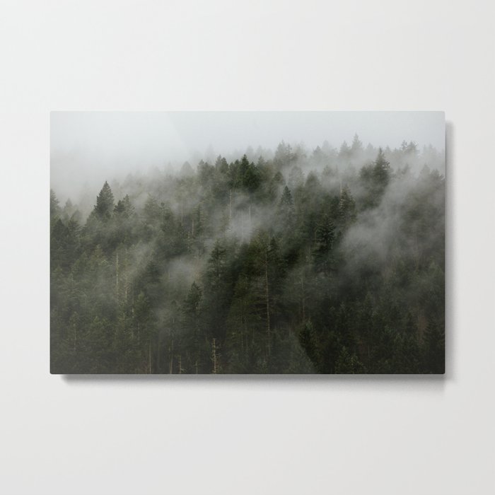 Pacific Northwest Foggy Forest Metal Print