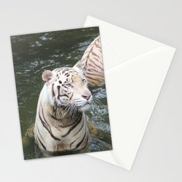 White tiger Stationery Cards