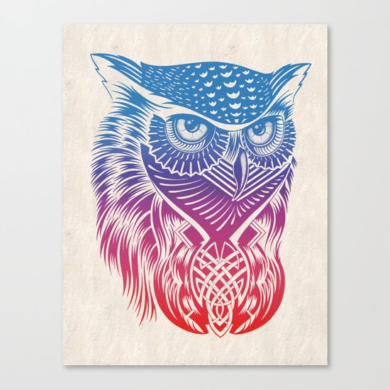 Owl of Color Canvas Print