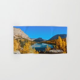 Larches in Banff Poster Hand & Bath Towel