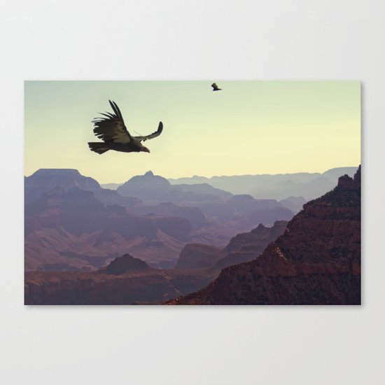 Condor Canvas Print