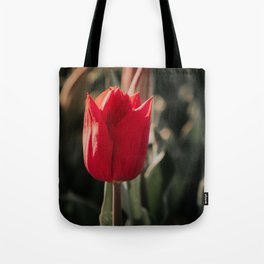 Red Tulip Photo | Flower Photography | Dutch Red Tulip Close Up Tote Bag