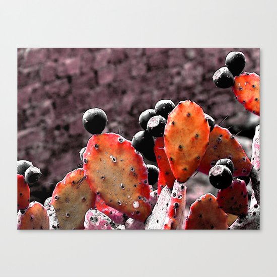 Cactus-Orange Canvas Print