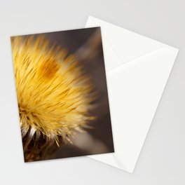 Dry flower Stationery Cards