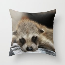 Baby Raccoon  Throw Pillow
