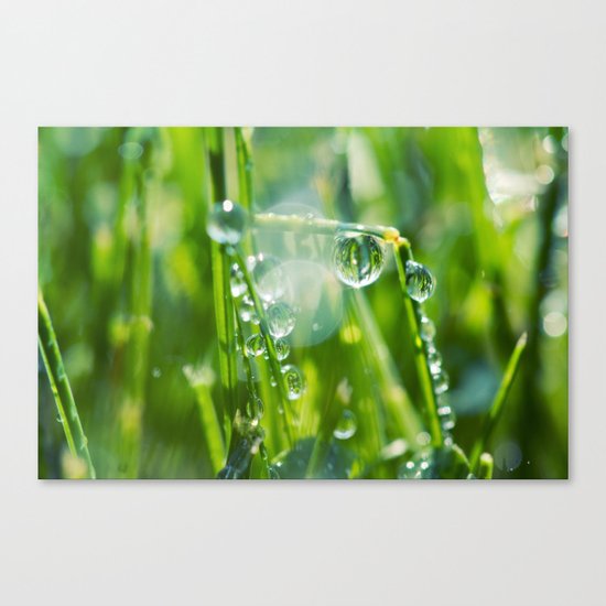 Swings Canvas Print