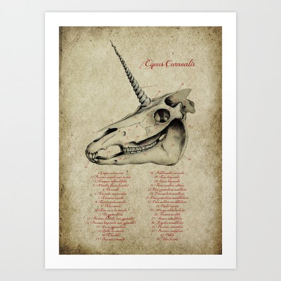 Equus Cornualis Art Print