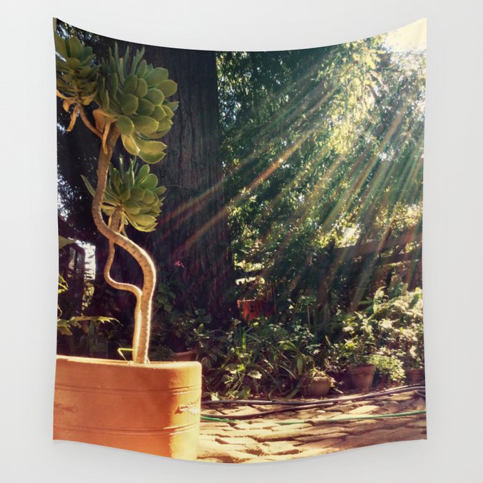 Sunshine on succulents Wall Tapestry