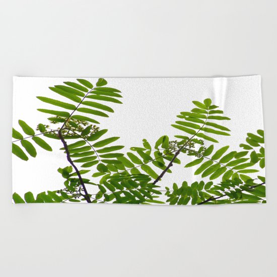 New Green Leaves Of A Rowan Beach Towel