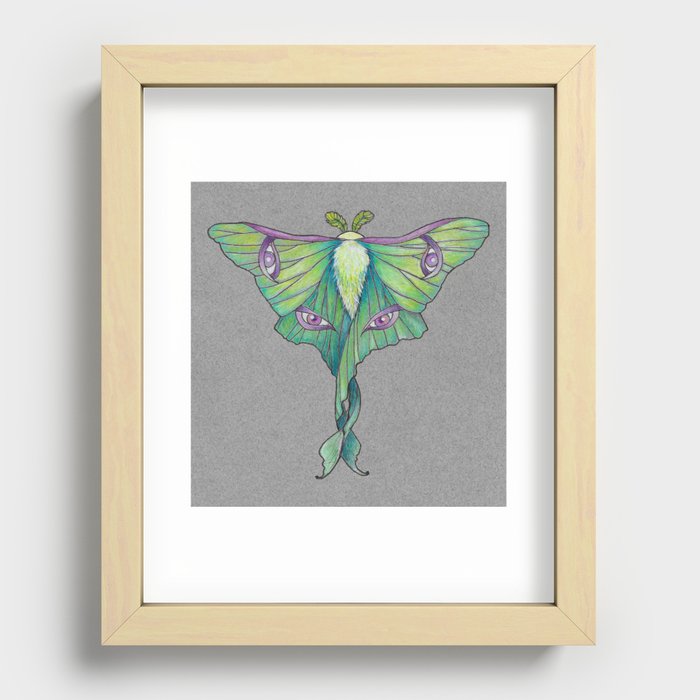 Luna Moth Recessed Framed Print