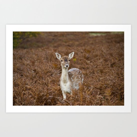 Deer Art Print