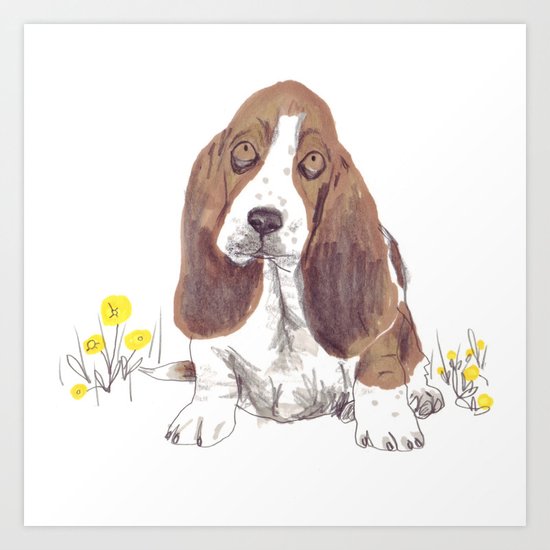 Basset Hound Art Print