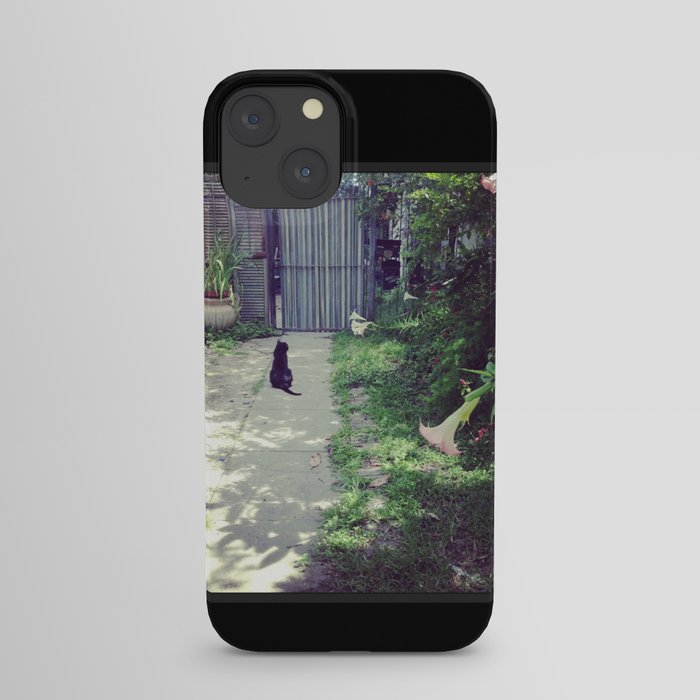Chats Noirs, New Orleans kitties iPhone Case