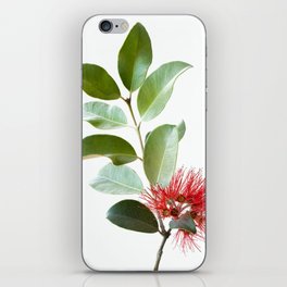 home is where your plants are iPhone Skin