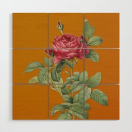 Vintage Red Gallic Rose Botanical Illustration on Bright Orange Wood Wall Art