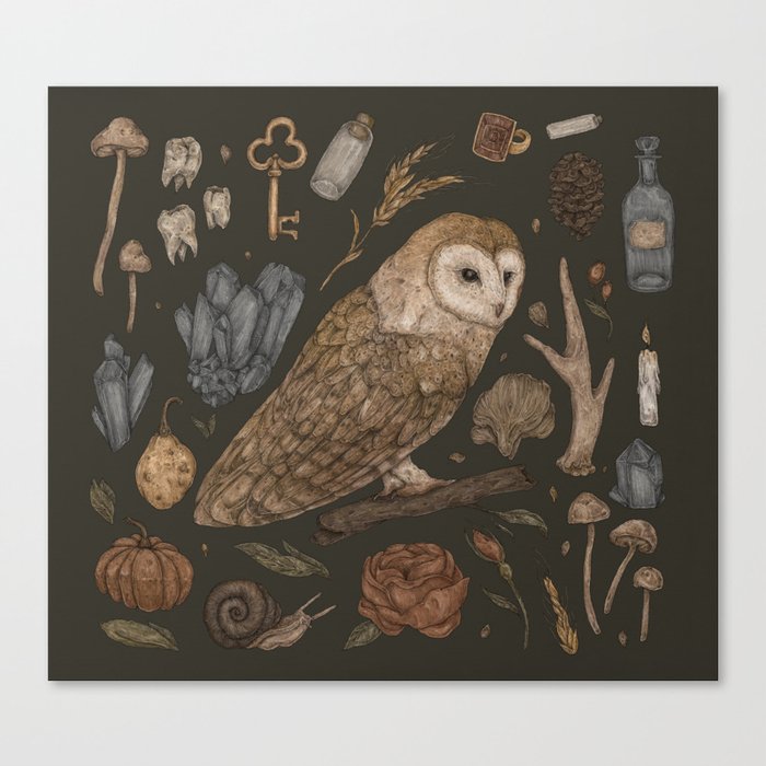 Harvest Owl Canvas Print