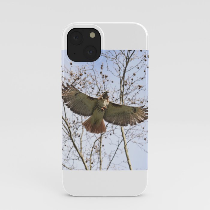 Gliding hawk 18 iPhone Case