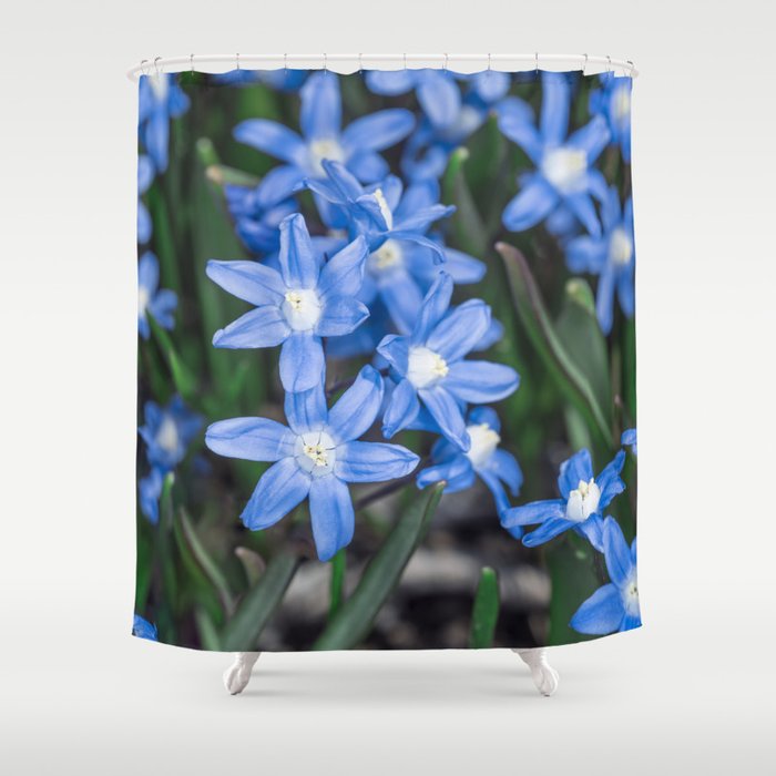 Easter Snow Glories Shower Curtain