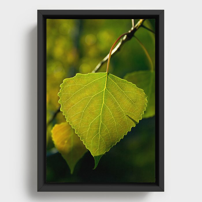 Leaf Green Framed Canvas