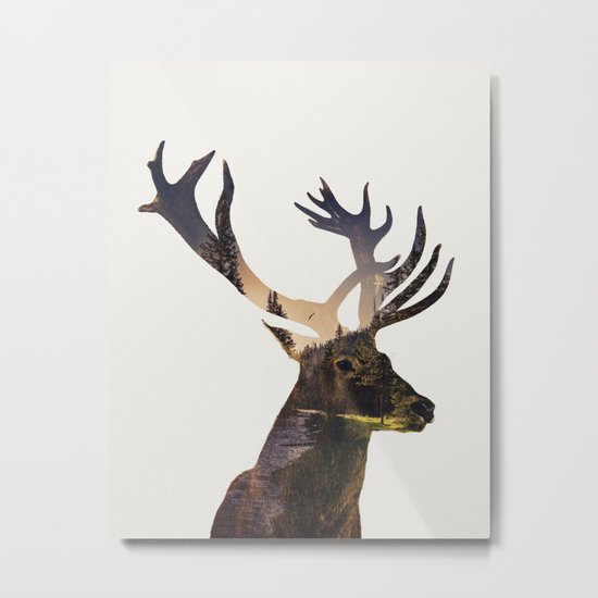 Deer Metal Print