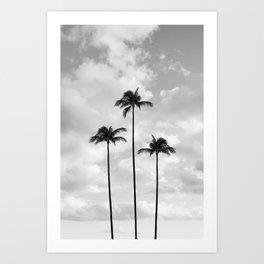 Palm Tree Photography | Black and White | Landscape |Tropical | Travel | Beach | Sky | Clouds  Art Print