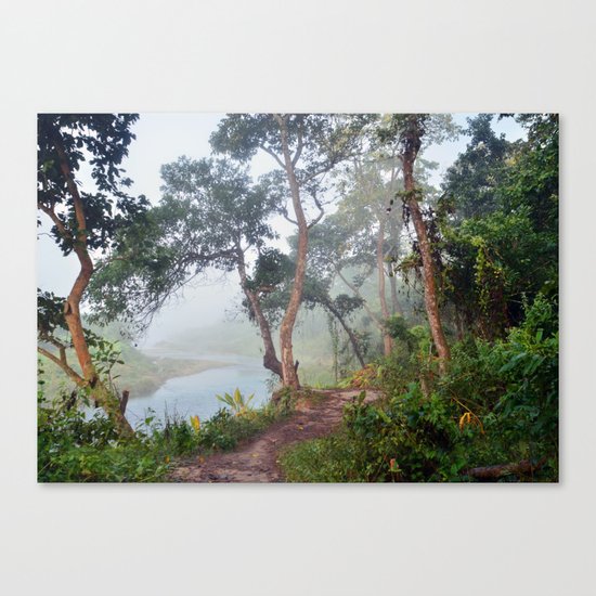 Jungle in Royal Chitwan National Park, Nepal. Canvas Print