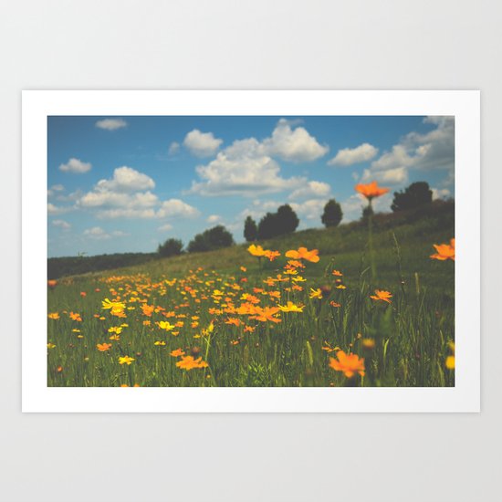 Dreaming in a Summer Field Art Print