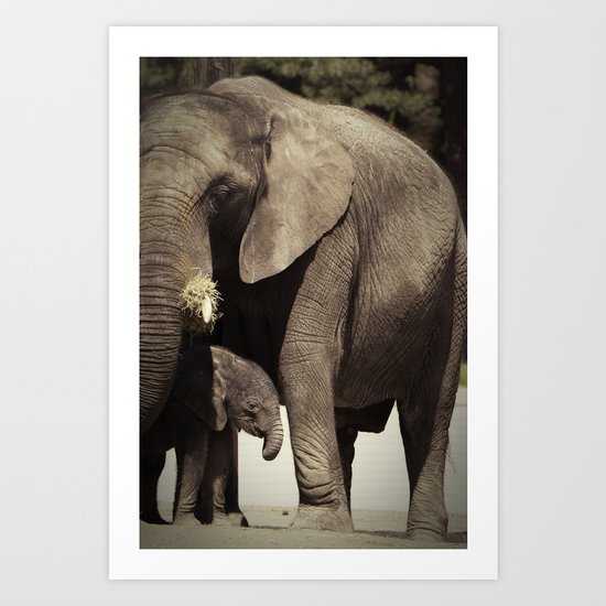Elephants, mother and child Art Print