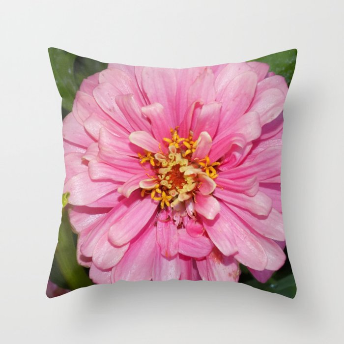 Pink best sale fall pillows