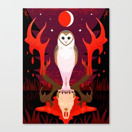 Hush, now. - Barn owl with skull Canvas Print