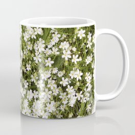 Stitchwort Stellaria Wild Flowers Coffee Mug