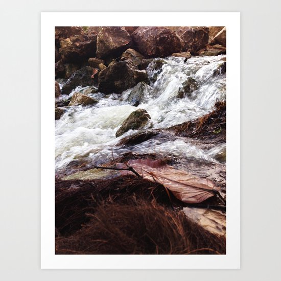 Brown Creek Art Print