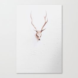 Antlers Canvas Print