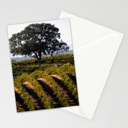 Paso Robles Vineyard Stationery Cards