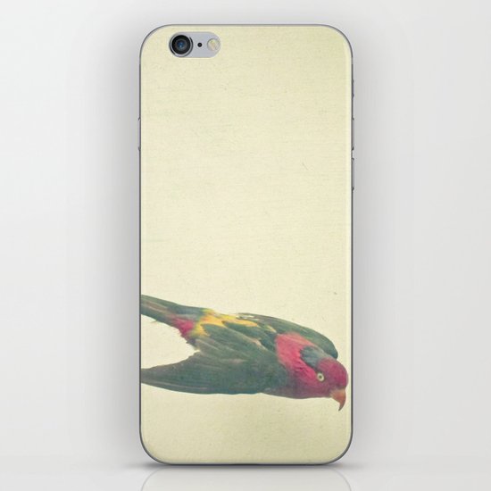Bird Study #4 iPhone & iPod Skin