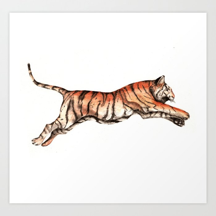 tiger leaping drawing