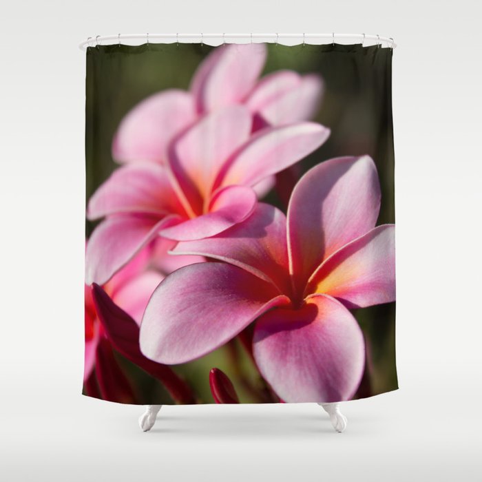 Kaupo Summer Treasure Shower Curtain