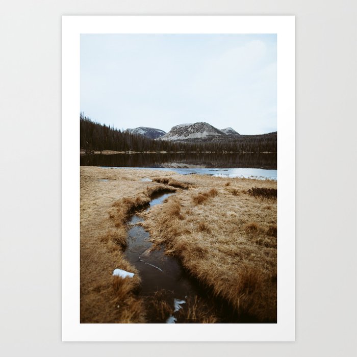 Art Print
