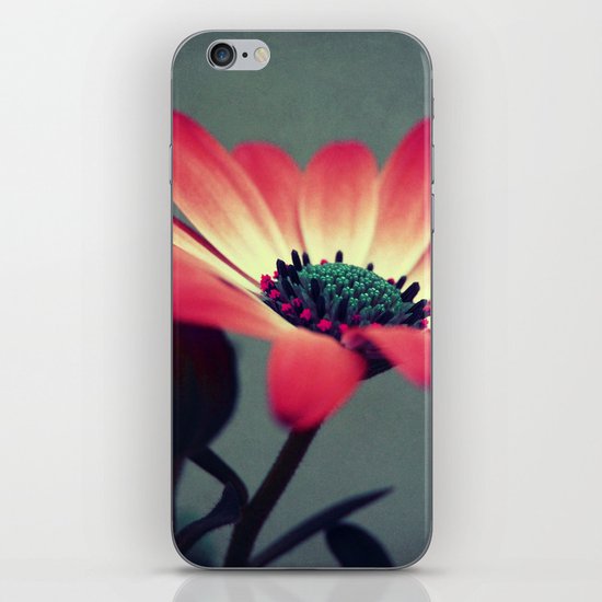 Look for your middle iPhone & iPod Skin