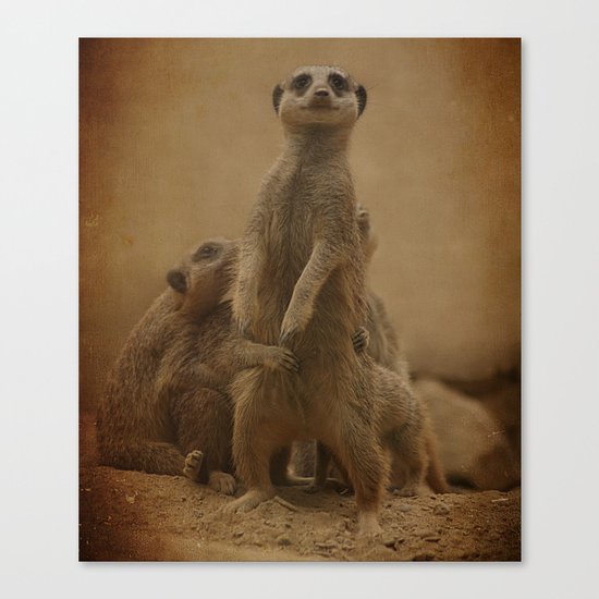 Simplez Mommy! Canvas Print