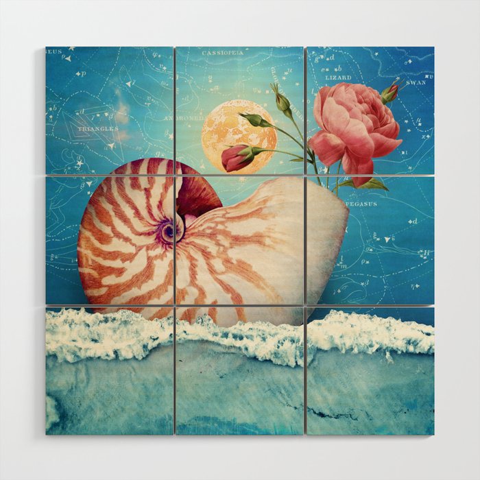 Fancy Nautilus Shell :: Fine Art Collage Wood Wall Art