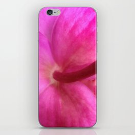 Through the Orchid iPhone Skin
