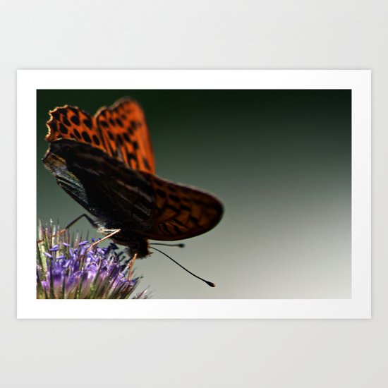 I spread my wings Art Print