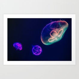 Bioluminescent Neon Jellyfish Art Print